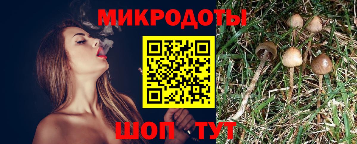 Галлюциногенные грибы ЛСД  Вход с VPN  Шарыпово  Галлюциногенные грибы ЛСД 